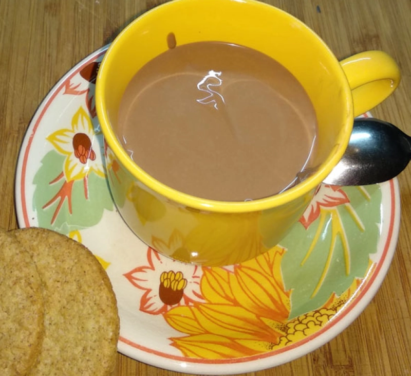 Chocolate espeso a la taza, Thermomix