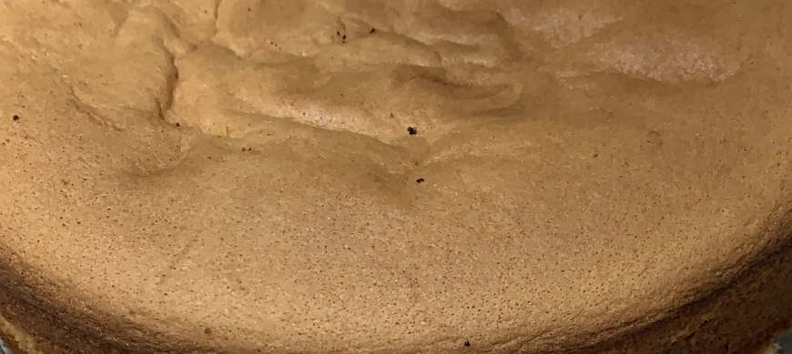 BIZCOHO GENOVÉS ESPECIAL PARA LA MONA by THERMOMIX