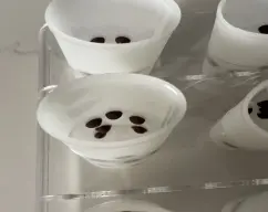 Step <p>Colocamos los chips de chocolate con la ayuda de la yema de los dedos presionando en las paredes de los envases, los chips han de estar a temperatura ambiente para que se queden pegados.</p><p>(ver imágen) </p> illustration